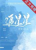 追星星的人2