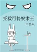拯救可怜奴隶王讲的什么