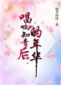 唱响知青后的年华 杨李涛涛