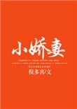 霸道总裁宠妻狂魔