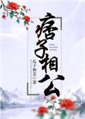 痞子相公百度