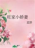 旺家小悍妻txt