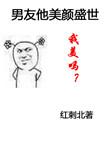 男友他美颜盛世by红刺北