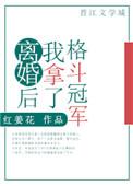离婚后我拿了格斗冠军txt百度