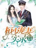 重生九零哼桓少宠妻实录
