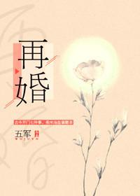 再婚剧透