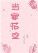 当家花旦姀锡txt