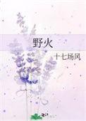 野火直播电视版本