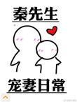 秦先生宠妻日常最新章节列表