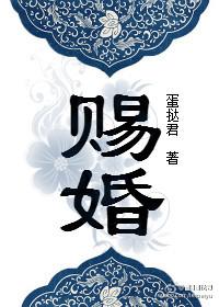 赐婚免费阅读