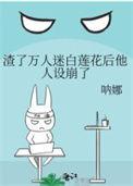 穿书渣了万人迷