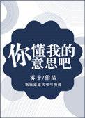 你懂我的意思吧翻译