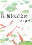红楼权后之路作者月下清泠