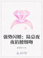 强势闪婚陆总夜夜掐腰细吻