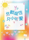 总裁捉住只小可爱全文阅读