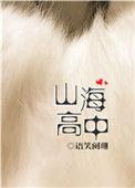 山海高中是什么类型的