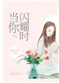 当你闪耀时晋江