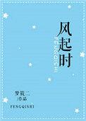 风起时想你的歌词