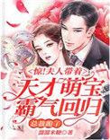 夫人太惊艳