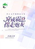 穿成霸总拐走炮灰书包网