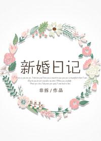 新婚日记完整版