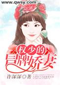 权少的天价逃妻免费读