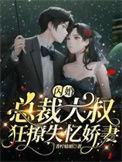 闪婚大叔用心宠