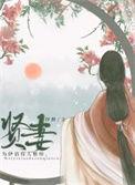 贤妻扶我青云志什么意思