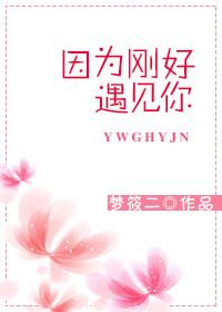 因为遇见你电视剧免费观看完整版