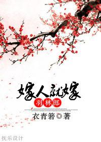 嫁人就嫁给我吧歌曲