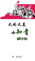 又娇又美小知青作者张笙笙