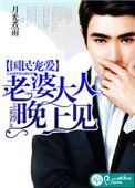 宠妻成瘾