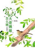 穿成大佬姨娘怎么破免费阅读番外