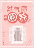 过气后我被娇养了讲什么