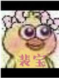 裴宝珠燕珩