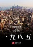 我的一九八二免费