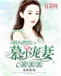 婚内燃情陆少请放手