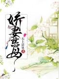 娇妻慈母(重生)txt