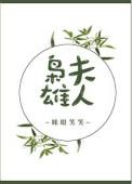 枭雄夫人txt
