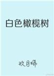 白色橄榄树取景地