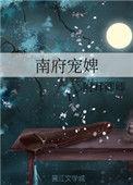 南府宠婢h