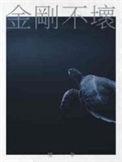 金刚不坏大寨主境界划分