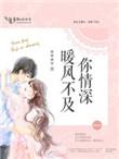 暖风不及你情深免费阅读全文