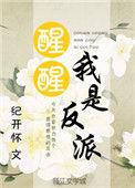 我是反派格格党