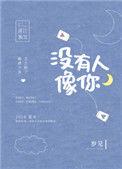 没有人像你txt
