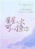 星星之火可以撩你免费阅读