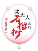 沈大人家的石榴树(重生) 见三之二