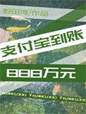 支付宝到账888万元怎么设置