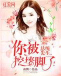 傅先生你被挖墙脚了全文免费