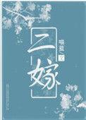 二嫁二三意笔趣阁